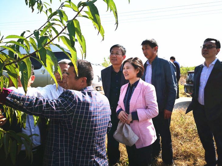 汇鸿集团党委副书记孙苹带队赴泗洪调研推进挂钩帮扶工作